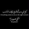 dhaniya_z
